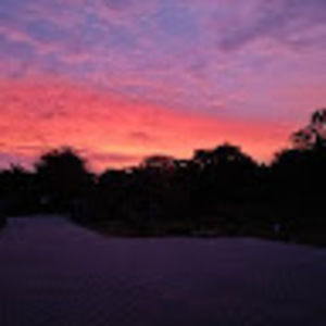 Meet your Posher, Van